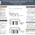 The Tail Suspension Test